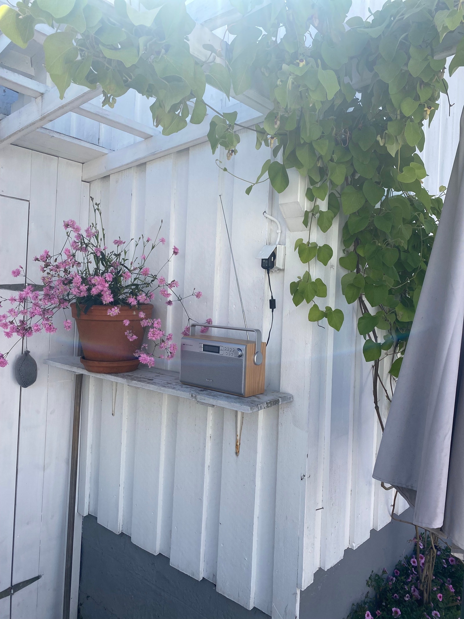 Terrasse/uteplass Galleribilde