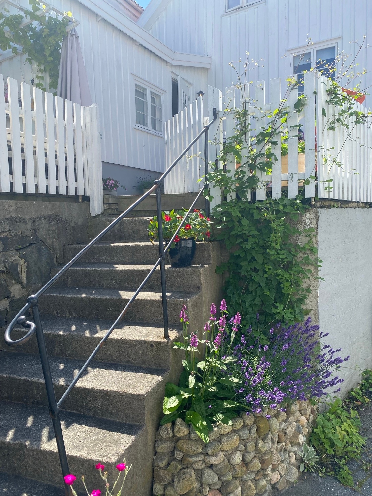 Inngang Galleribilde