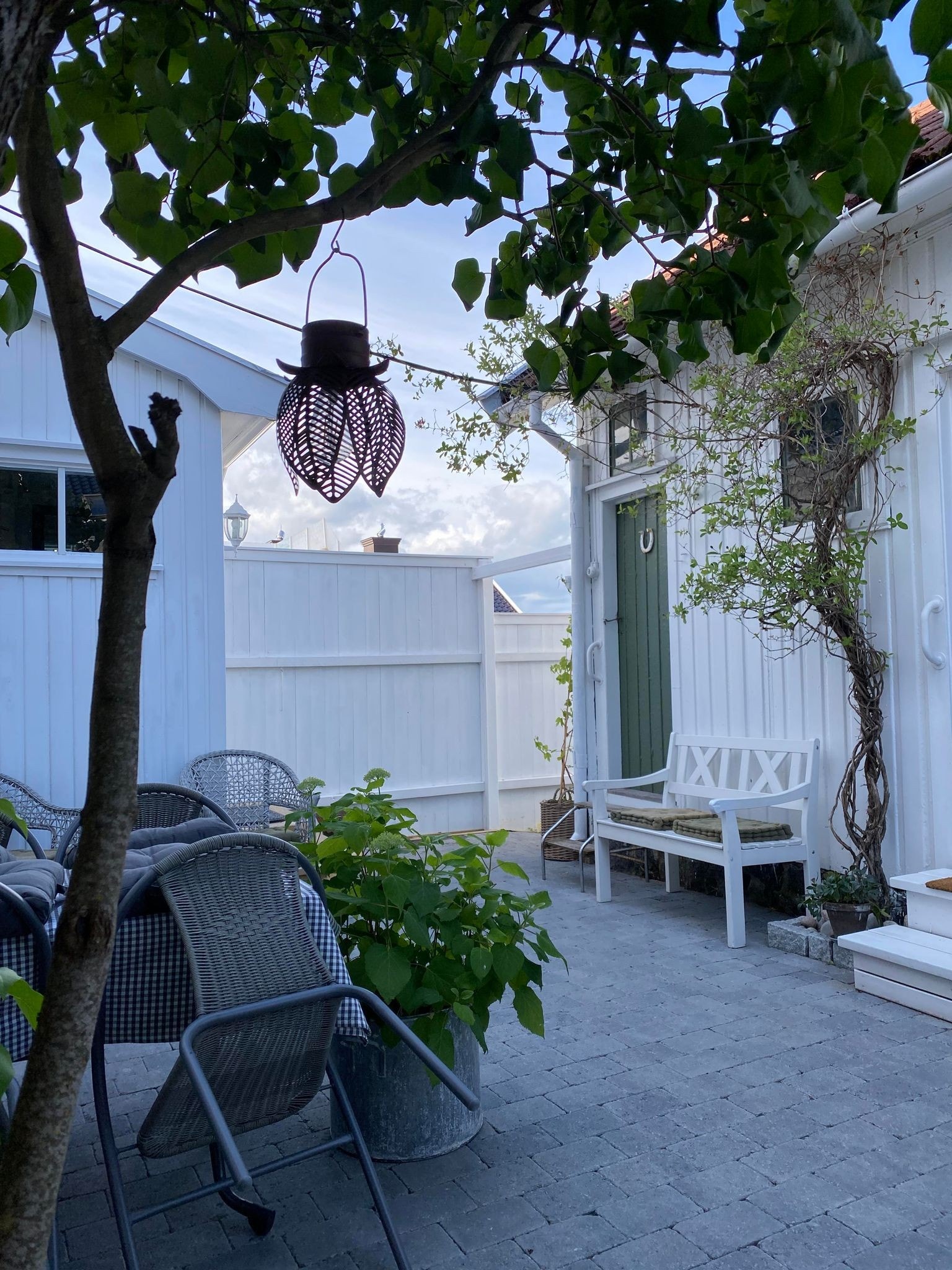Liten bakgård med beplantning og enkle hagemøbler Galleribilde