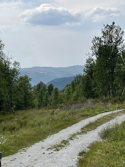 Utsikt Galleribilde