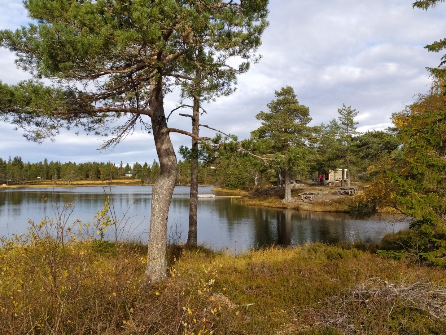 Gapahuk med benker, bord og grillmuligheter ved Støveltjern. Badebrygge Galleribilde