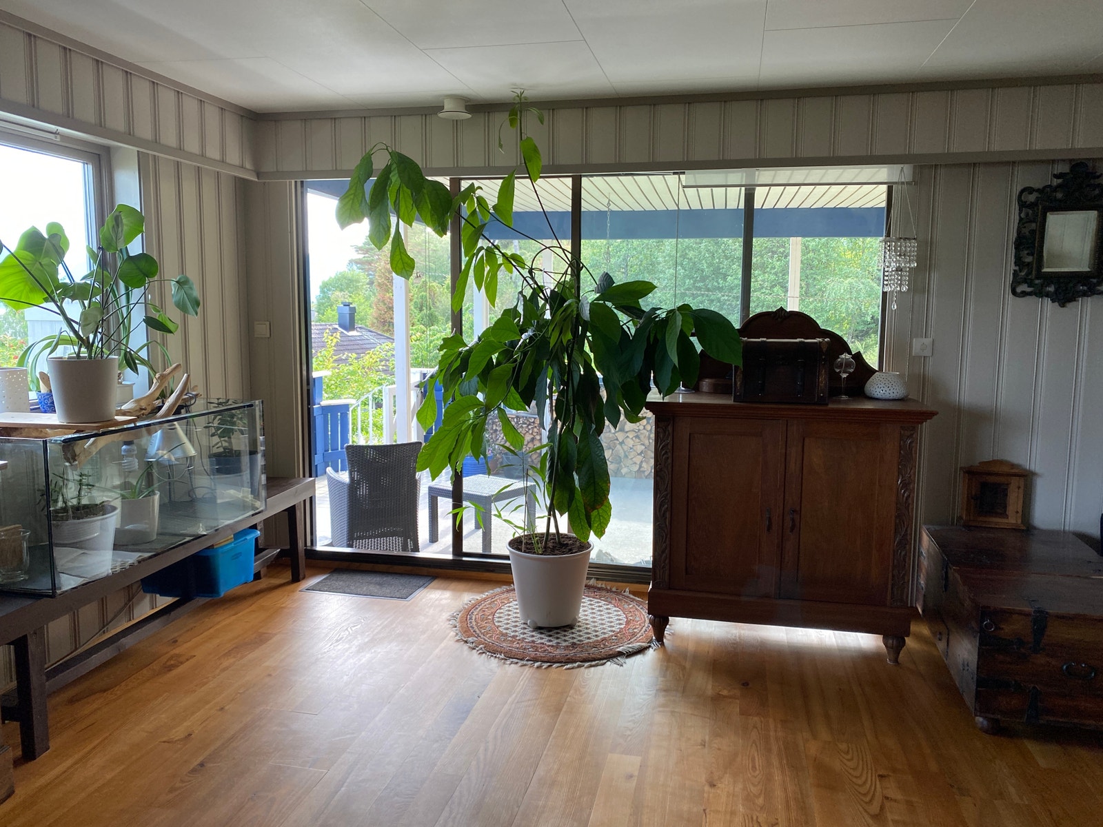 Stor skyvedør ut til terrassen Galleribilde