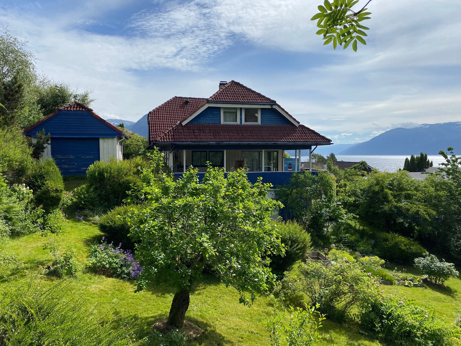 Stor hagen med plomme og epletre , rips og solbær Galleribilde