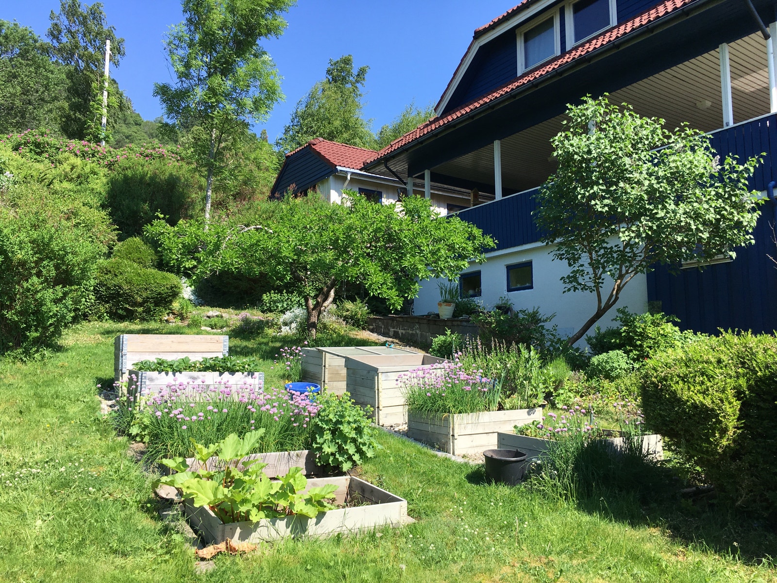 Her kan du dyrke grønnsaker og høste mange forskjellige sorter frukt Galleribilde