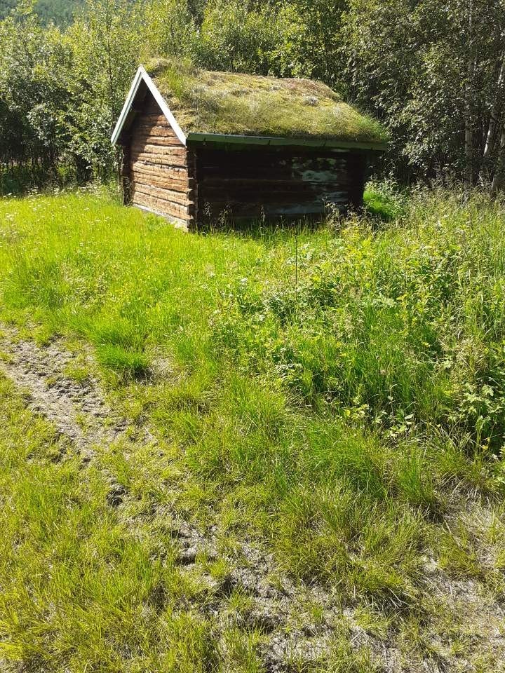 Smia sett fra Rostaelva Galleribilde