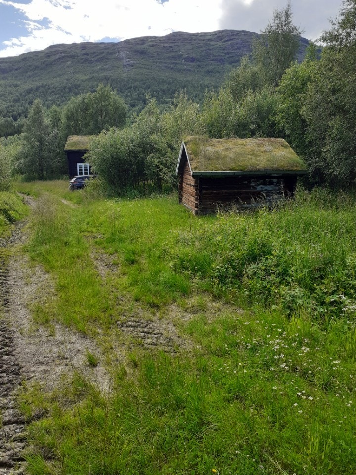 Gamnesfjellet med Gammelstua og Smia Galleribilde
