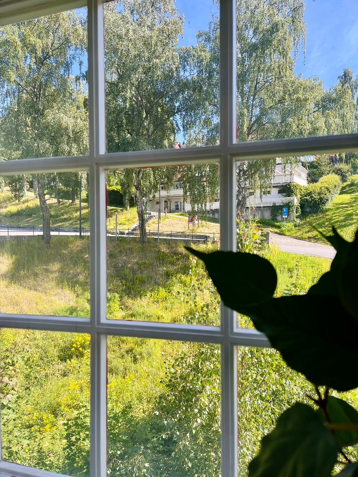 Utsikt fra vindu Galleribilde