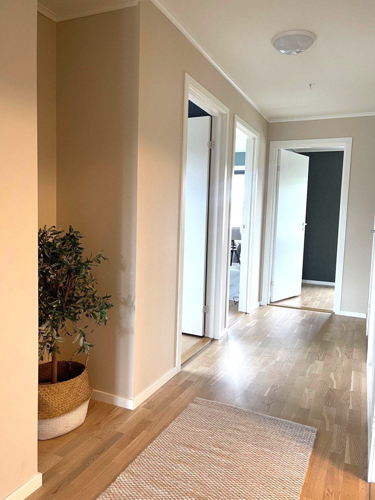 Gang - innhuk til f.eks dekorasjon, eller til f.eks garderobe Galleribilde