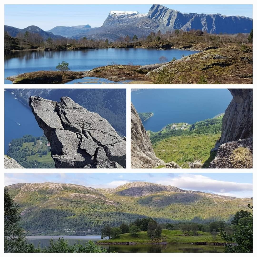 Flotte turområder i nærleiken. Galleribilde
