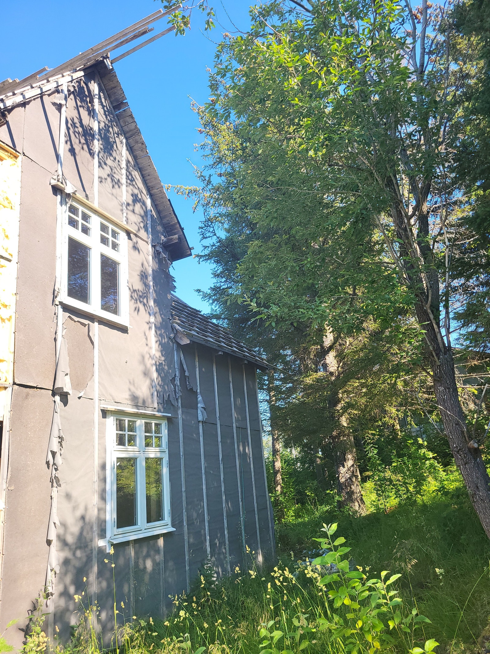 Bakside Galleribilde