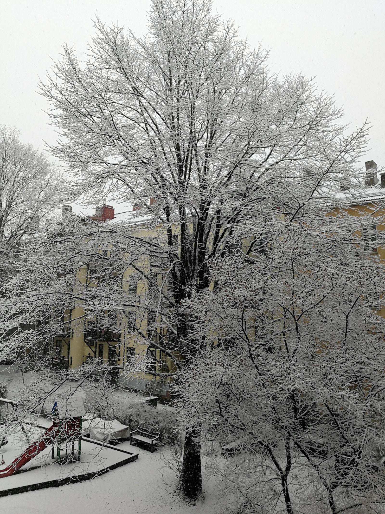 Vinter i parken inne i kvartalet. Dette kvartalet rommer Gamle Oslos største bakgård. Galleribilde