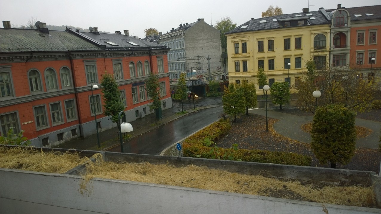 Fra Harald Hårdrådes plass Galleribilde