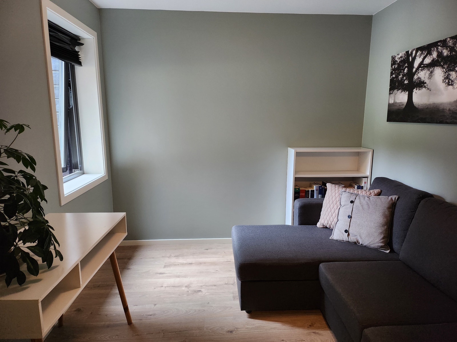 Soverom nr.3. inkl. sovesofa, pult og bokhylle Galleribilde