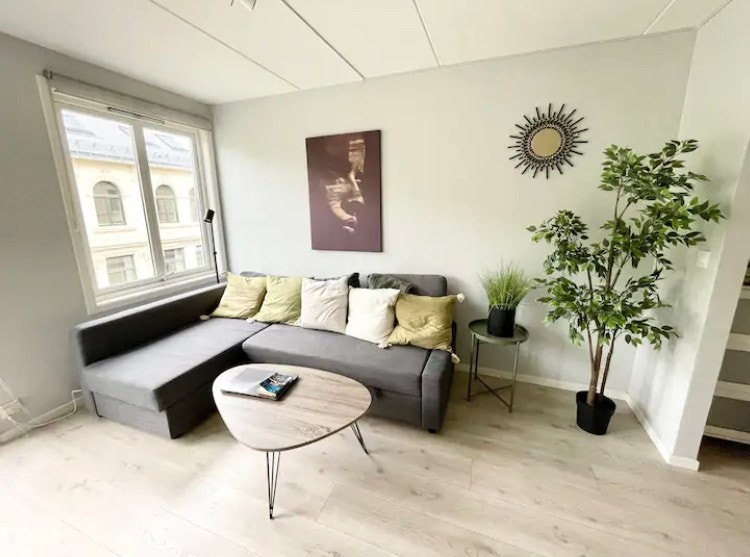 Fullt møblert stue med sovesofa. Galleribilde