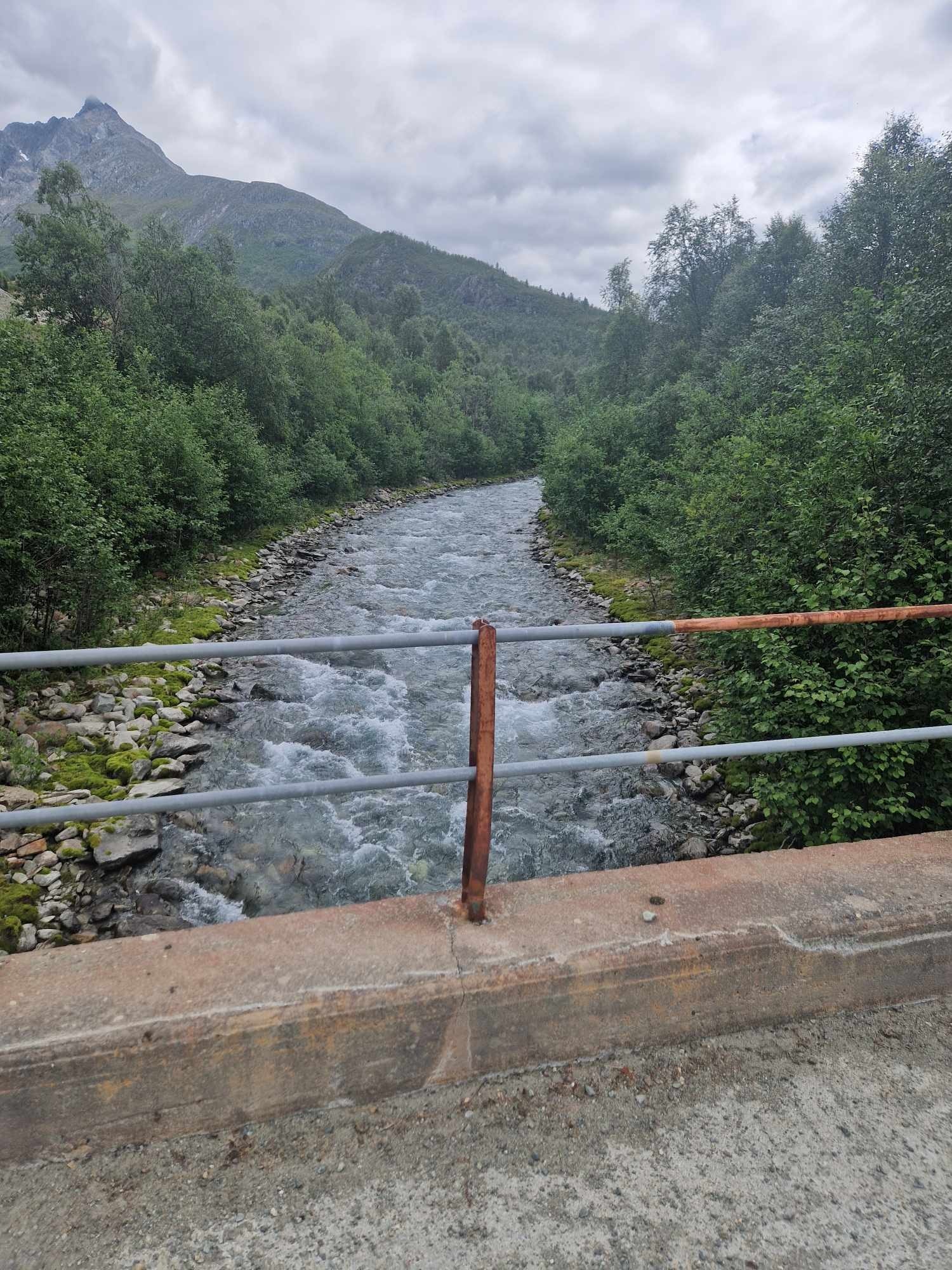 Elven som renner forbi tomt Galleribilde