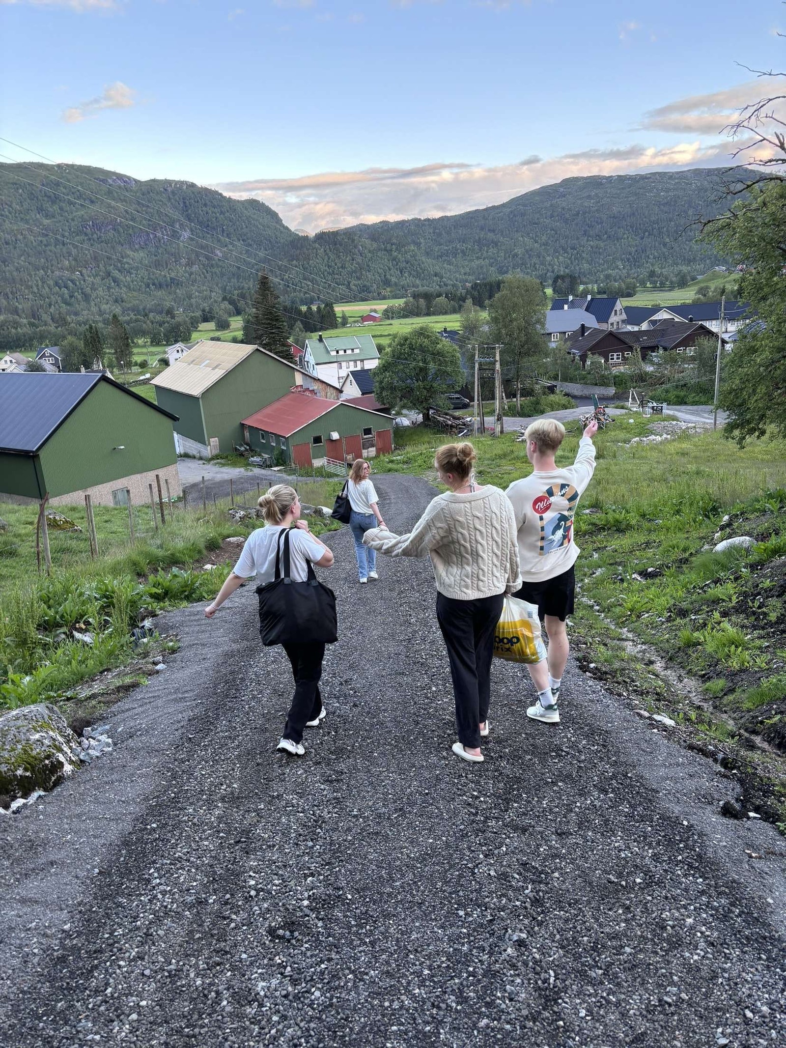 På vei ned fra hytta. parkeringen(150 m fra hytta) Galleribilde