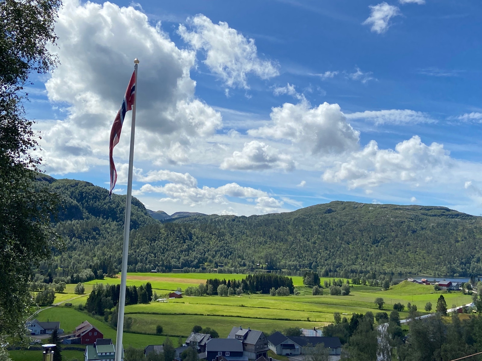 Utsikt sommer Galleribilde