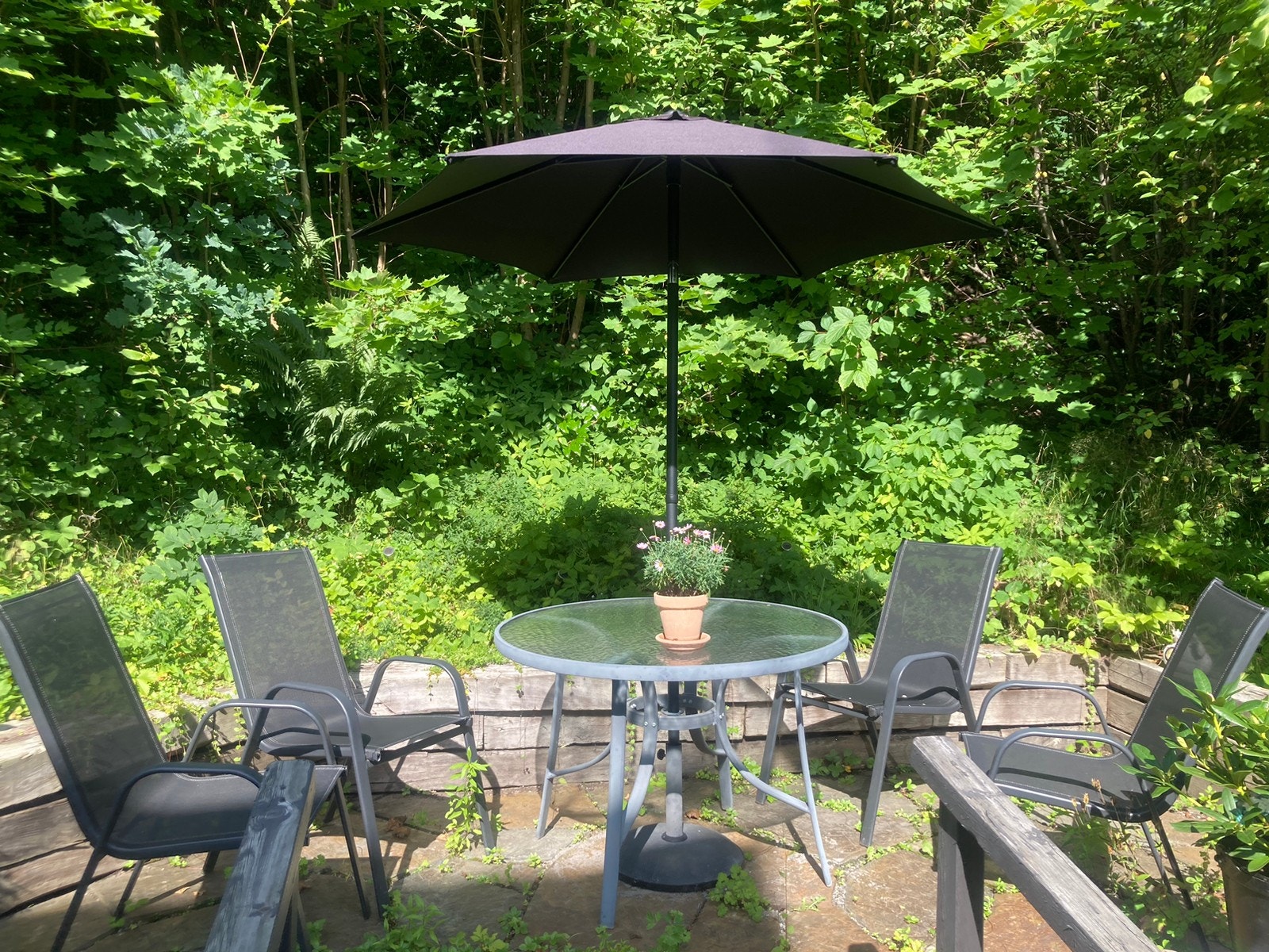 Uteplass 1 mot skog, trenger luking/vedlikehold (møblert) Galleribilde