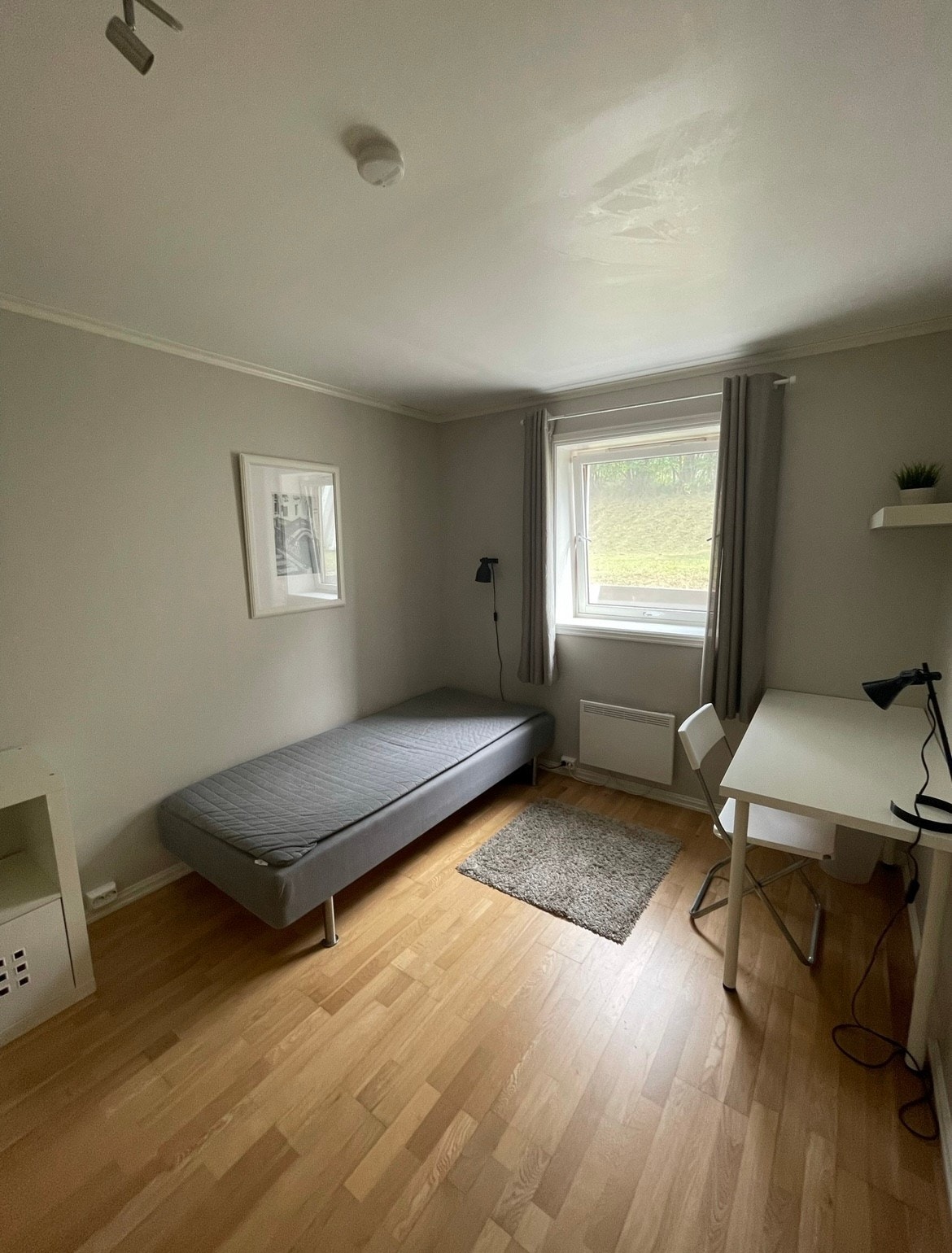 Rom (alle er like) Galleribilde