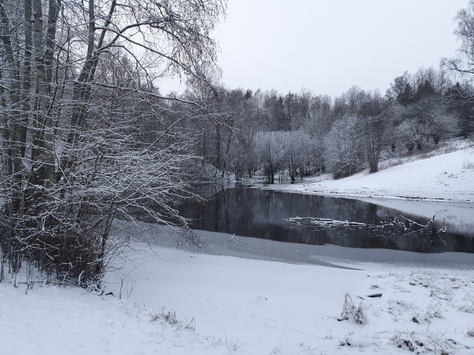Brekkedammen, 15 min gange fra blokken. Galleribilde
