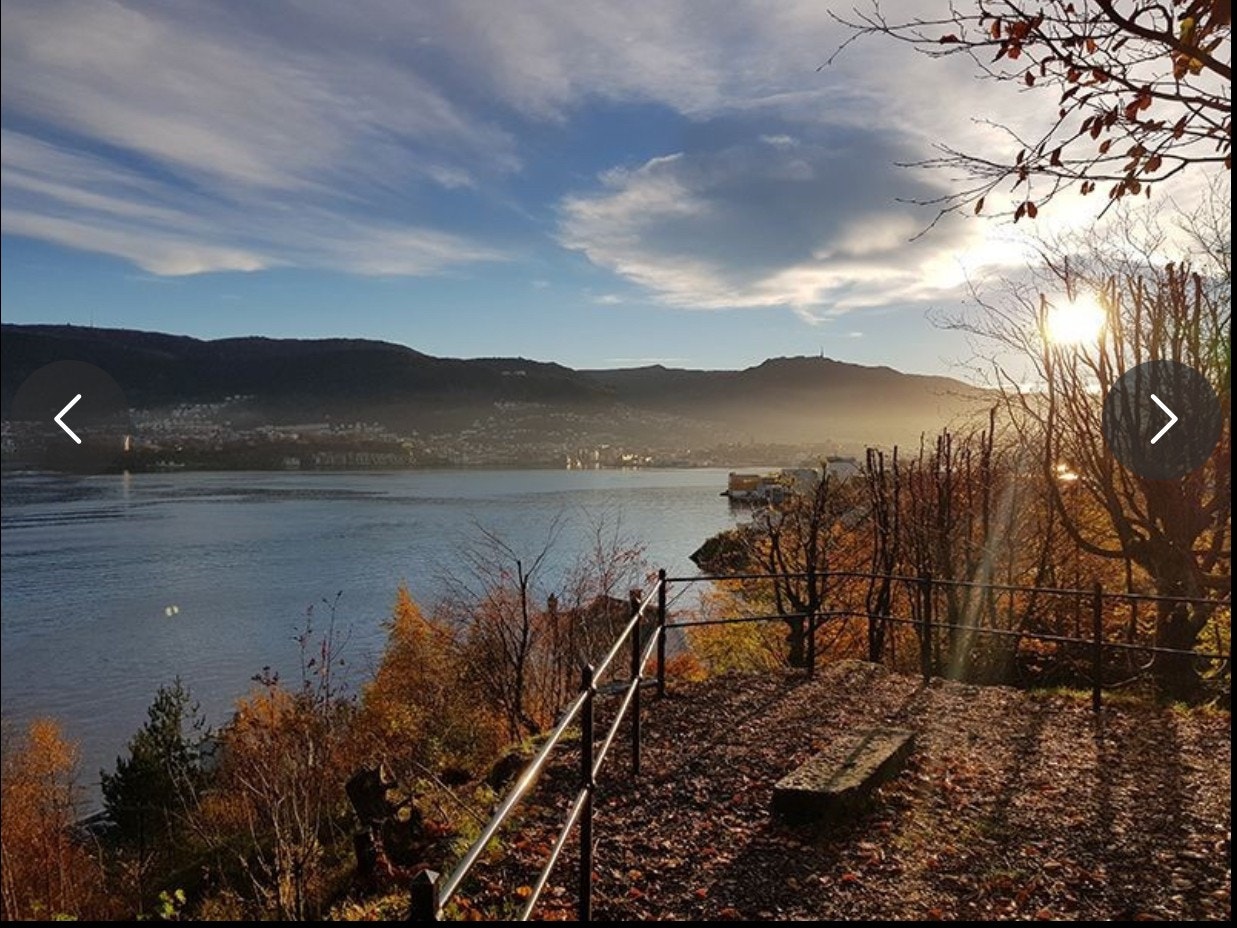 Lyreneset friområde er nærmeste nabo Galleribilde