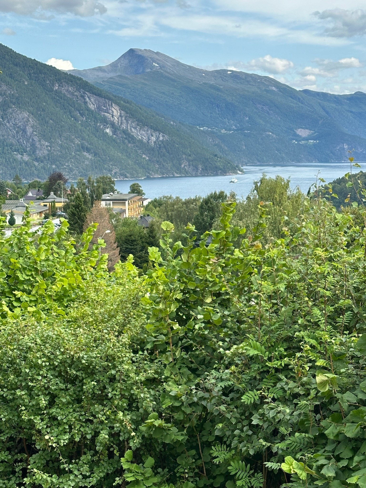 Utsikt. Galleribilde
