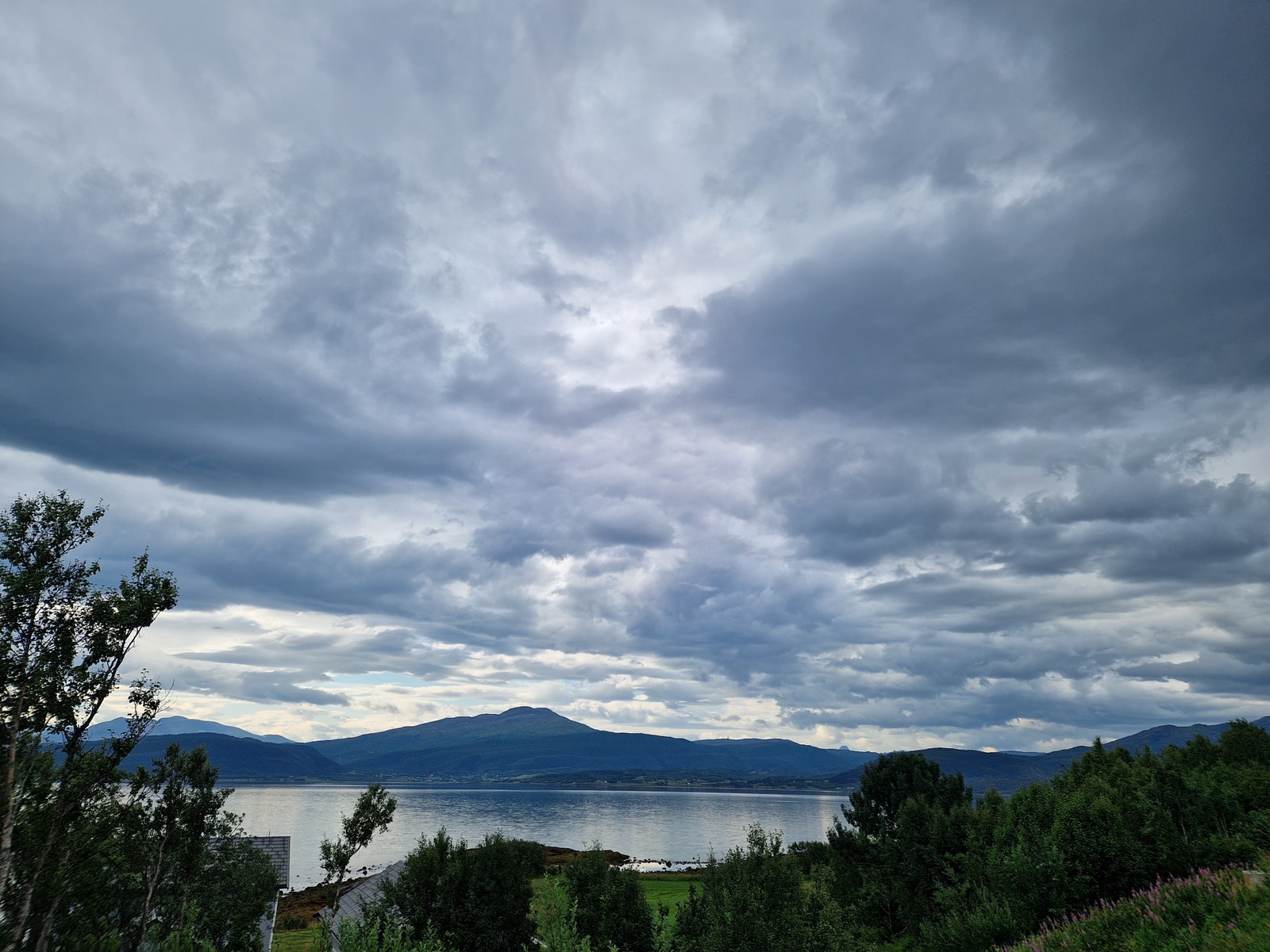 Utsikt fra tomt Galleribilde