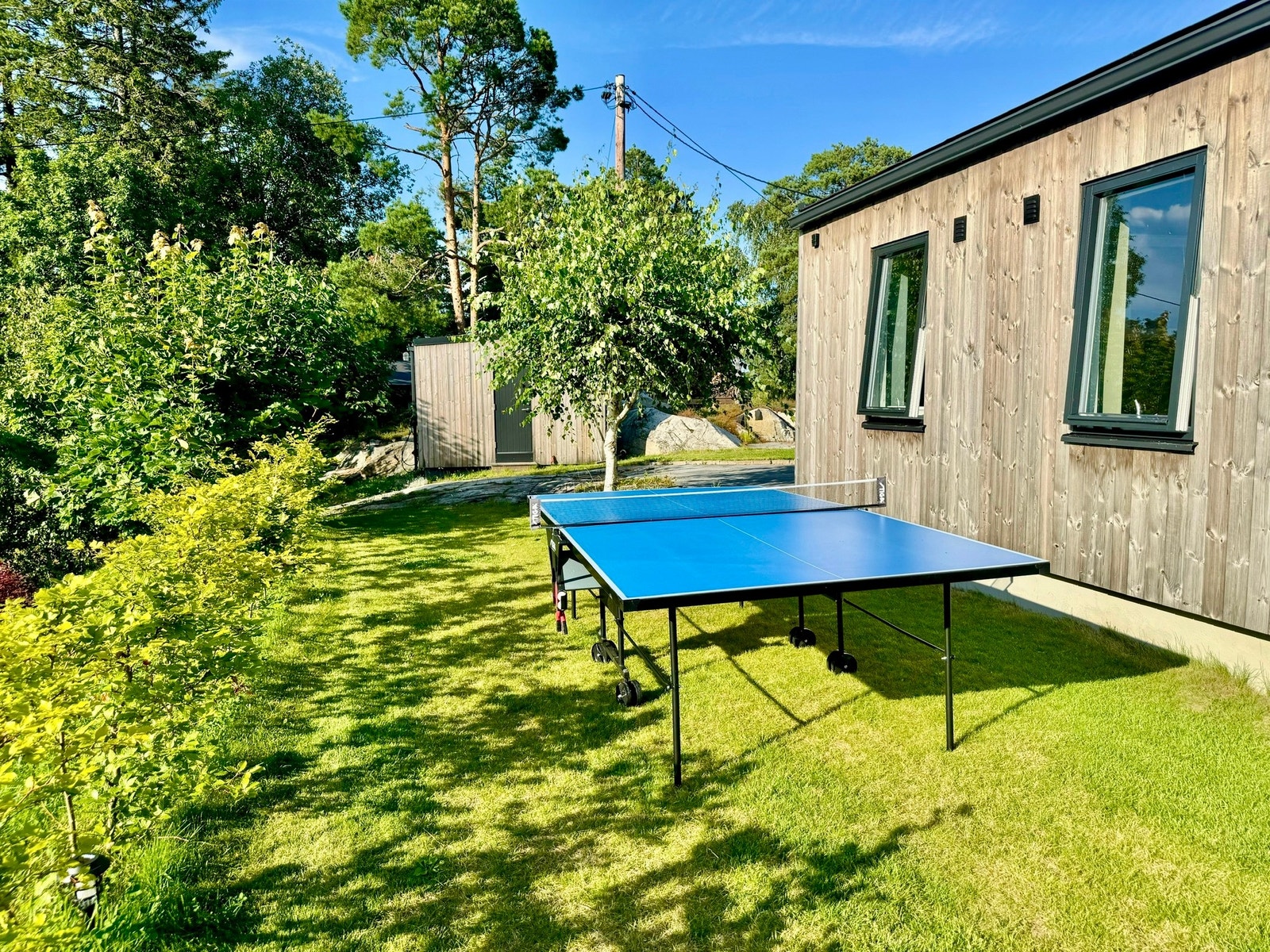 Bordtennisbord Galleribilde