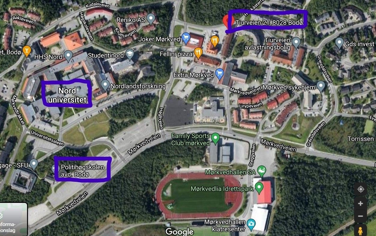 Studieområdet. Sentralt om midt i smørøyet Galleribilde