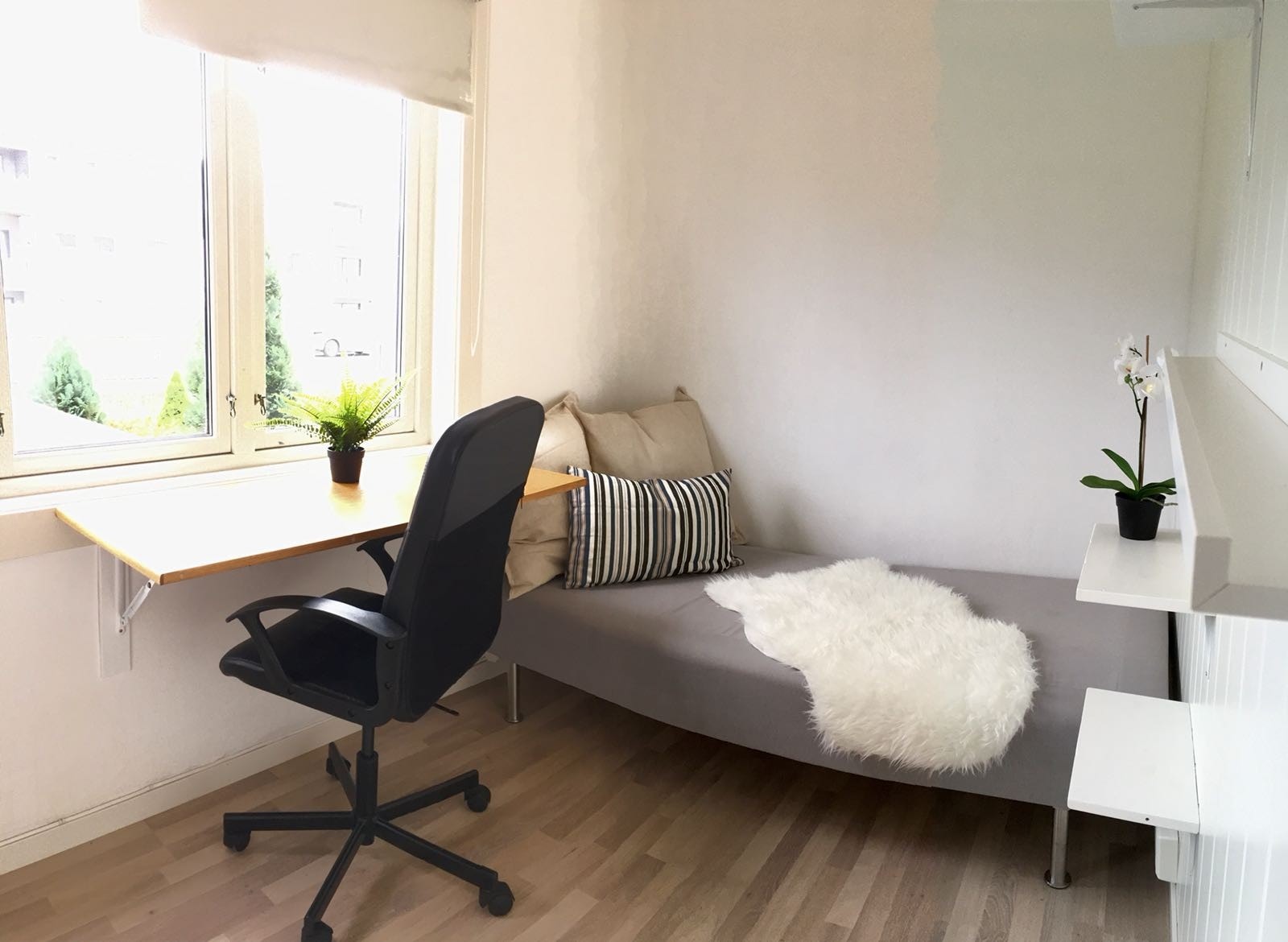 Rom 3, 5400 Galleribilde