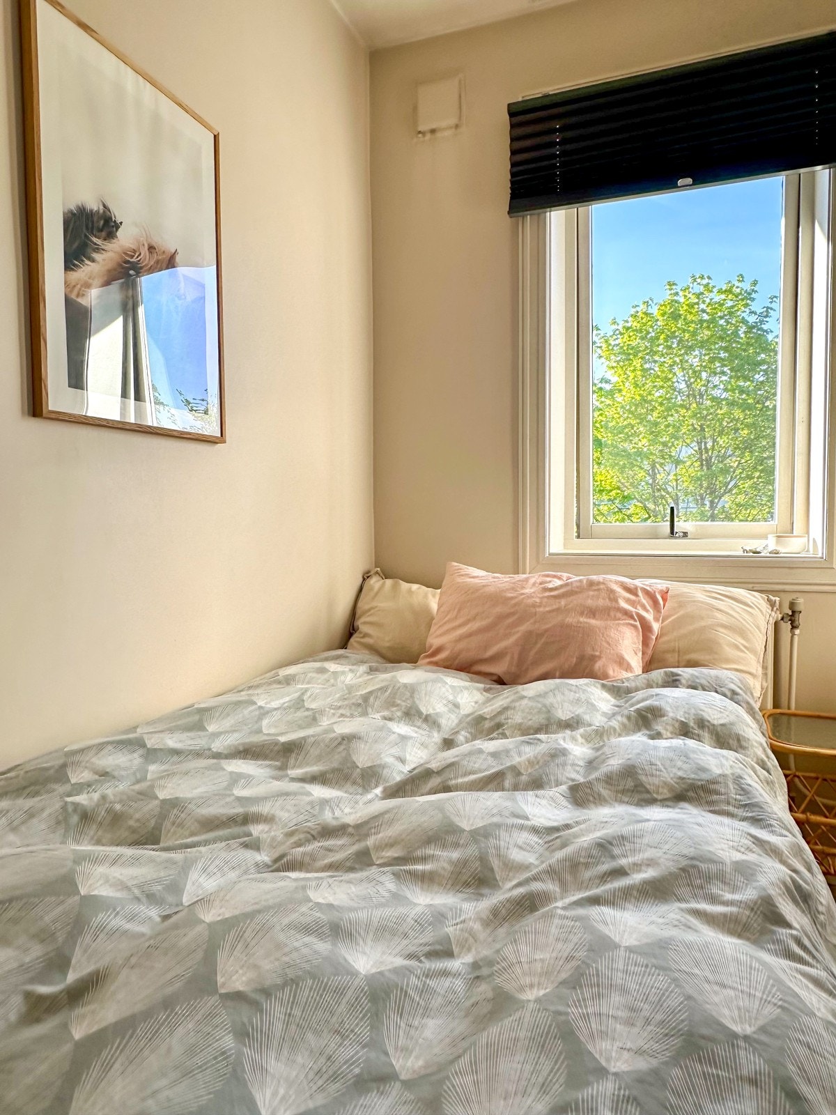 120-seng på soverommet. Galleribilde