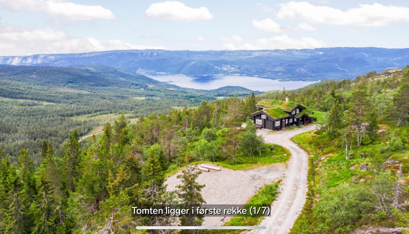 Utsikt mot Nisser. Galleribilde