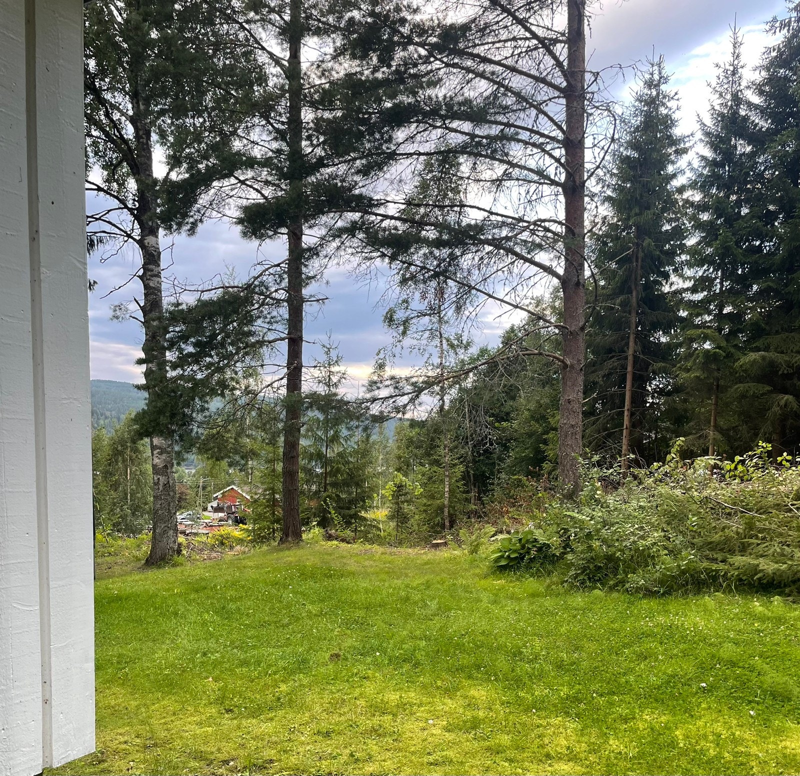 Koselig, usjenert hage Galleribilde