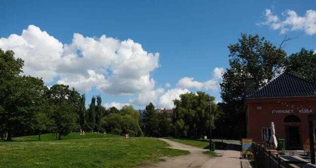 Mye grønt i nabolaget Galleribilde