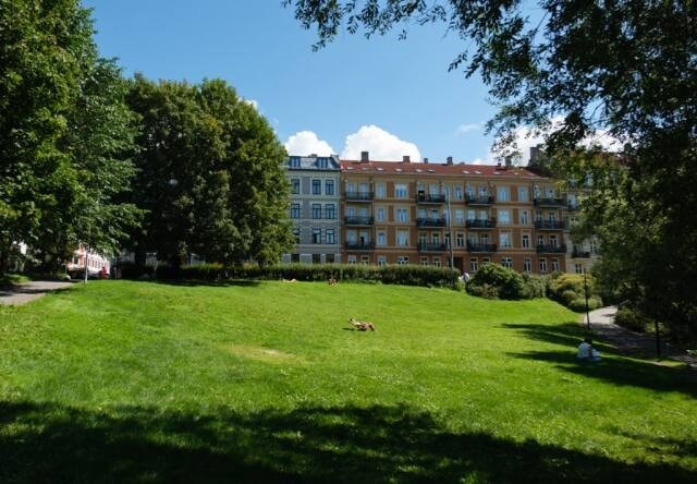 Nydelige dager på gresset Galleribilde