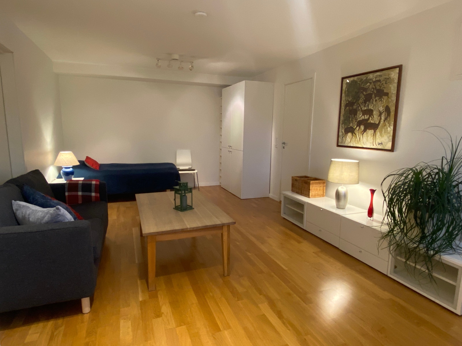 Det er romdeler mellom sofa og seng. Galleribilde