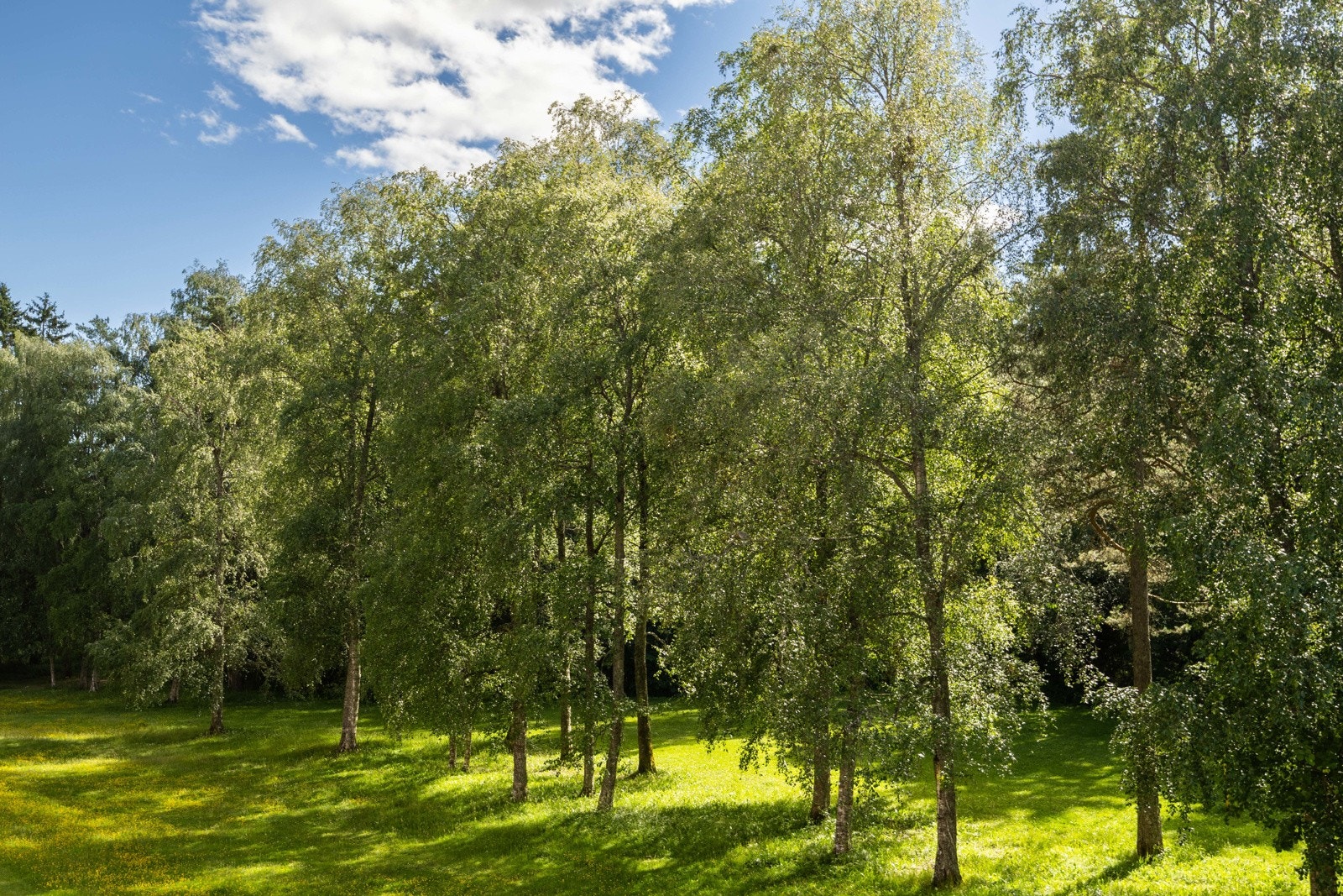 Barnevennlig og populært område Galleribilde