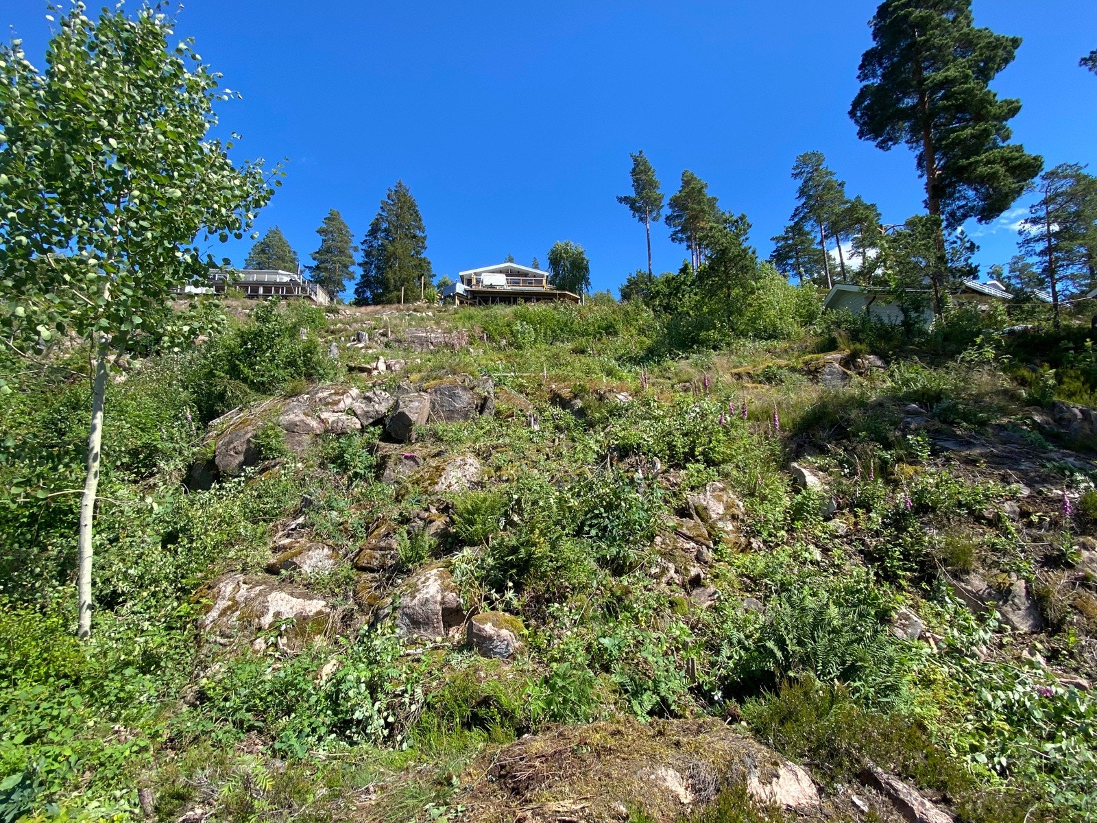 Tomten er en av de siste ubebygde tomtene på hyttefeltet Galleribilde