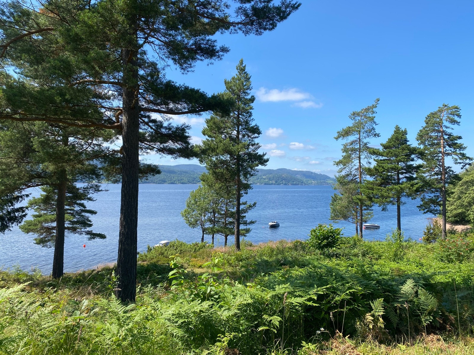 Det er tinglyst rett til båtfeste Galleribilde