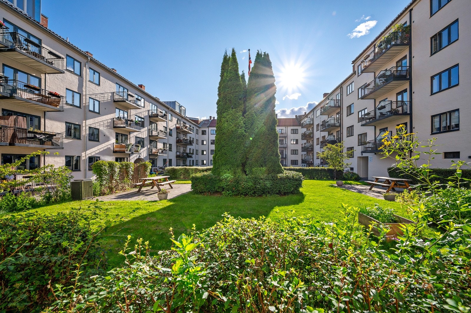 En grønn lunge sentralt i Oslo, til glede for beboerne. Galleribilde