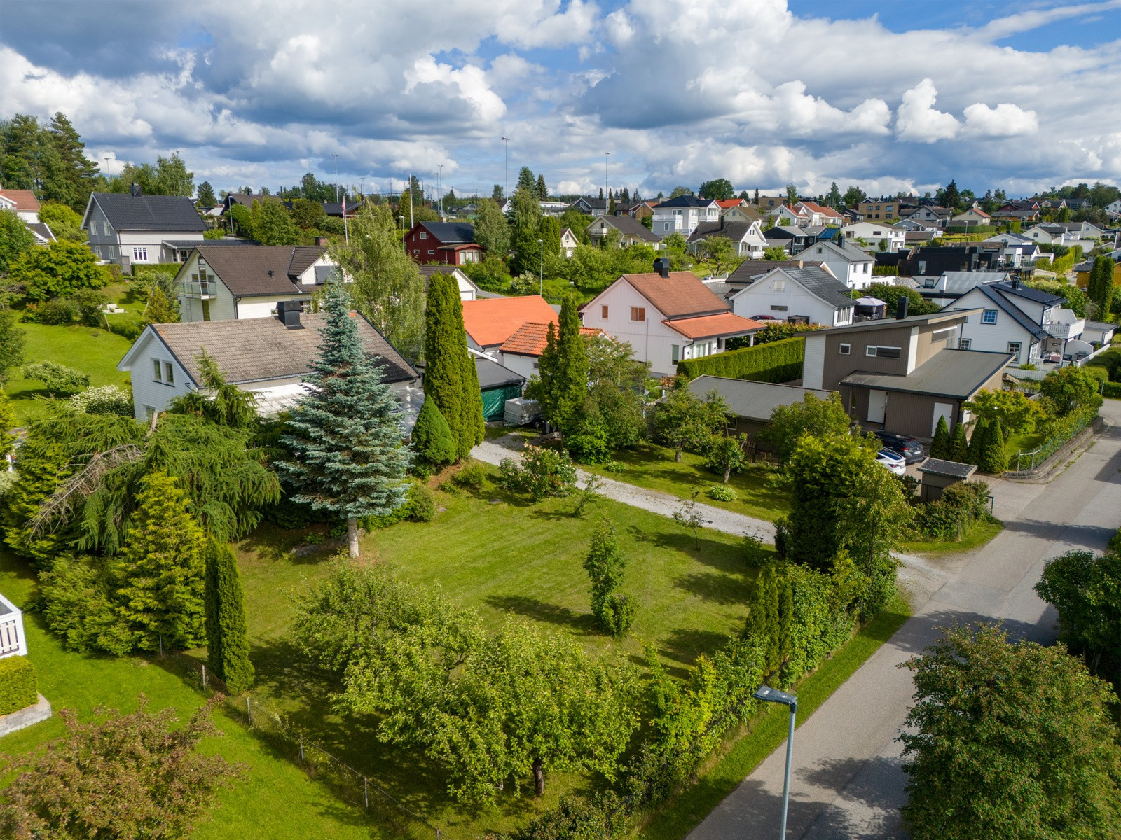 hovedbilde