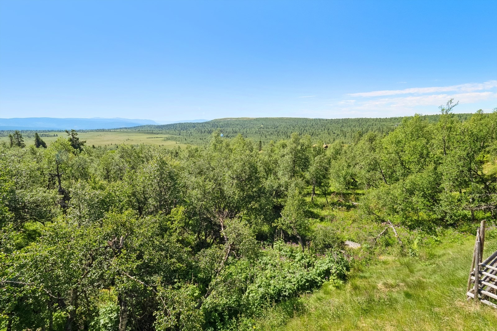 Utsikten fra nærområdet. Galleribilde