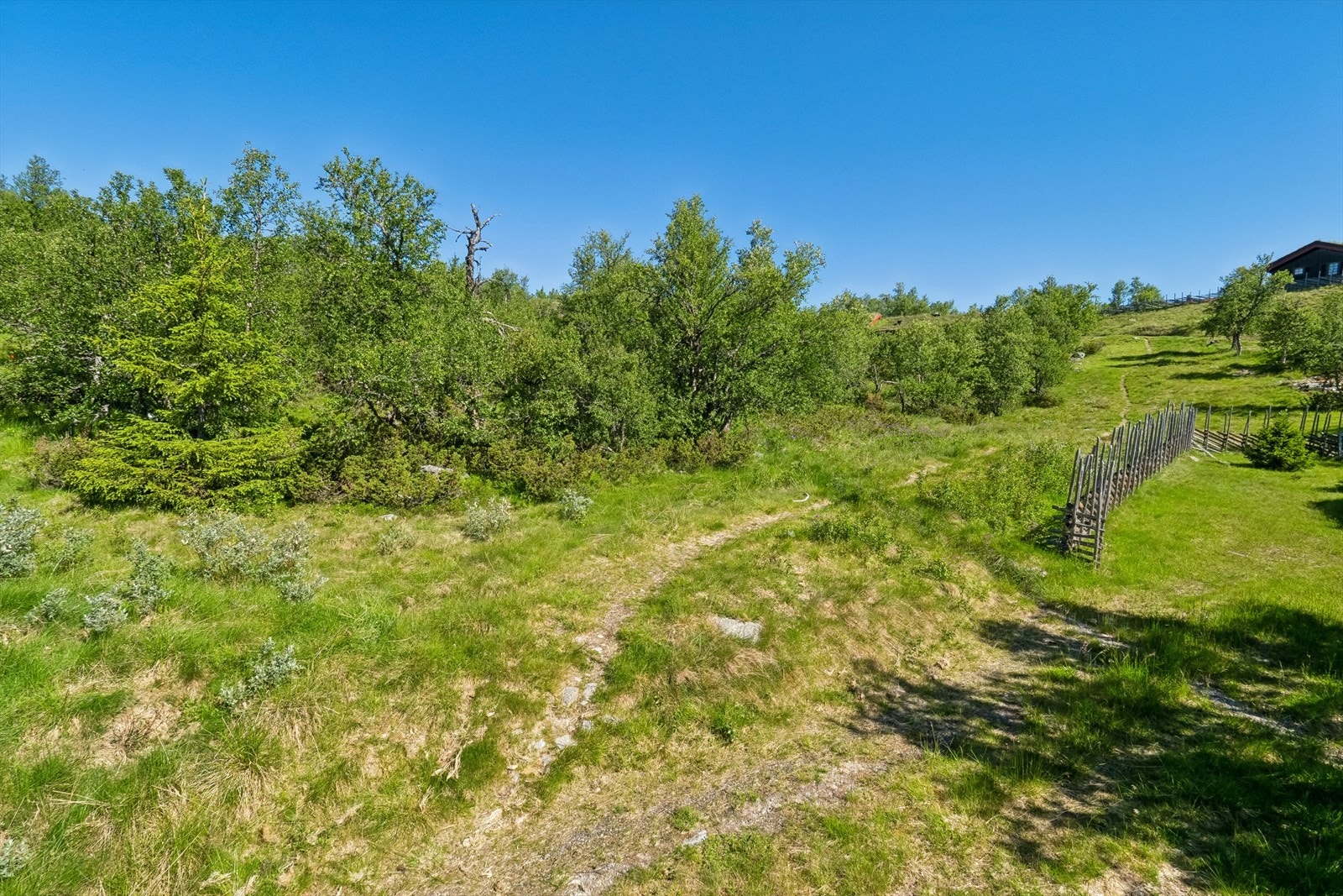 Området har gode lys og solforhold. Galleribilde