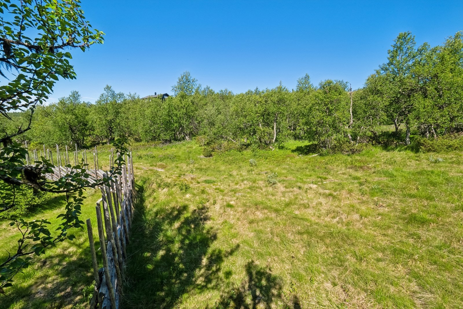 Råtomt bestående av naturlig vegetasjon som er typisk for området. Galleribilde