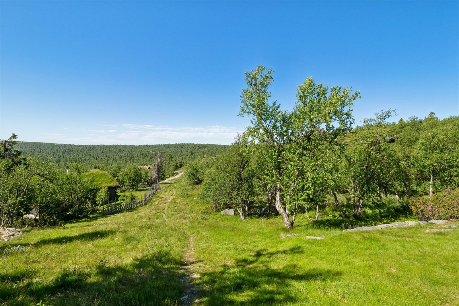 Her har du umiddelbar nærhet til turstier og skiløyper. Galleribilde