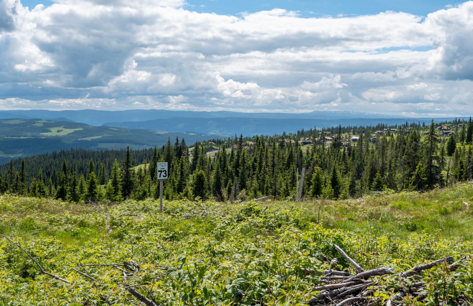 Tomt 73 - Utsikt rett sør mot Synnfjell. Det skal bygges en Neo Samle på nabotomt (nr 74), så man kan planlegge sine private soner uten innsyn fra nabotomt! Galleribilde