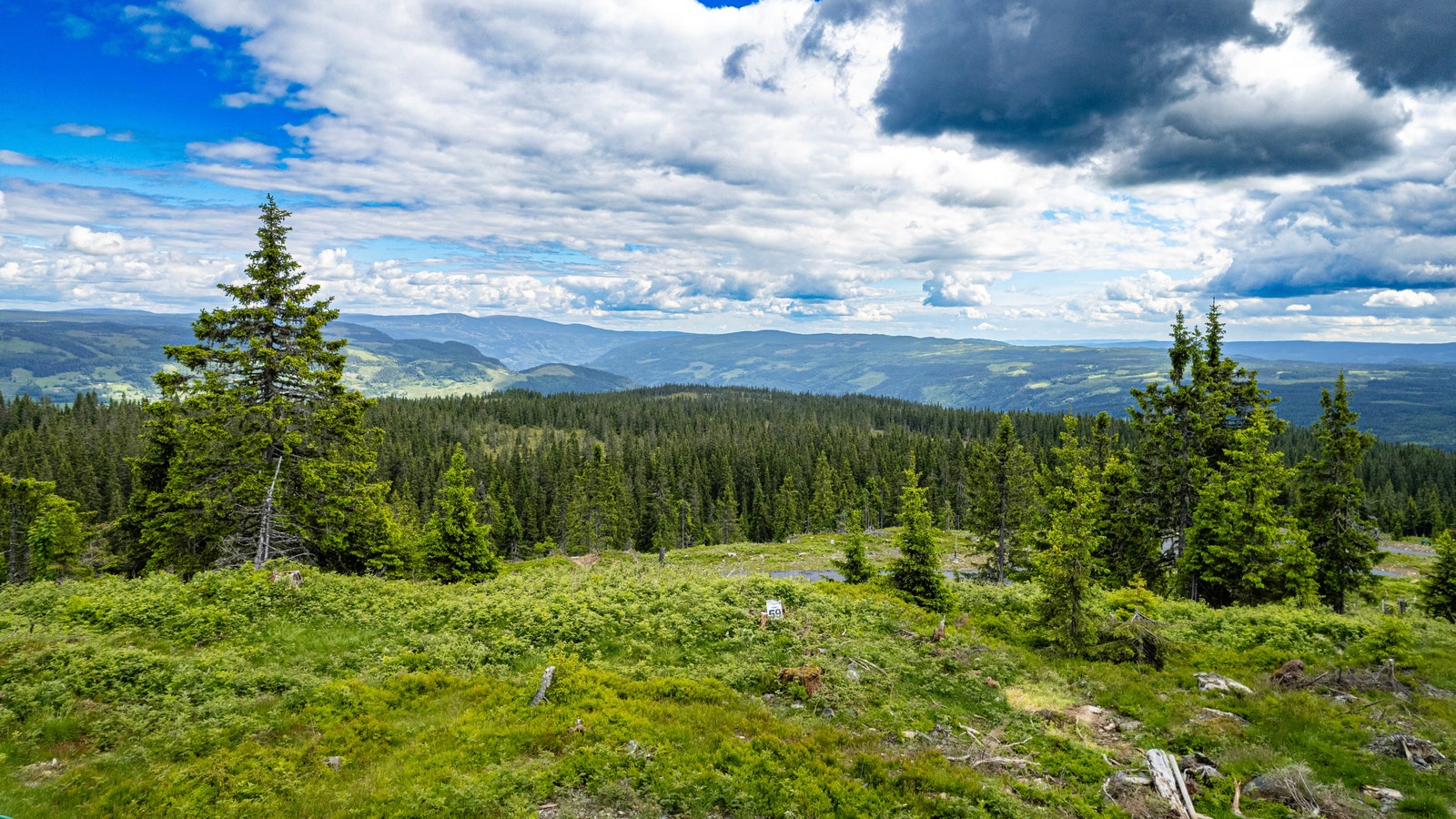 Tomt 59 - Endetomt i blindvei med fantastisk utsikt. Galleribilde