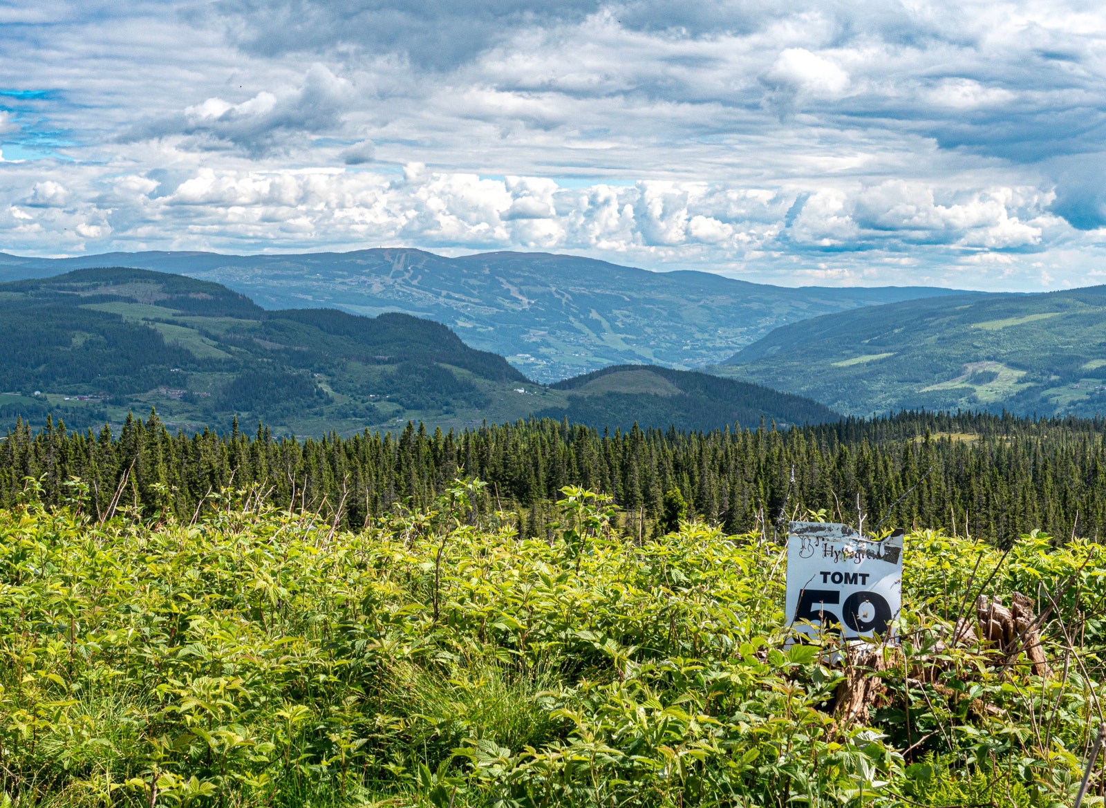 Tomt 59 - Utsikten strekker seg fra nord via øst og sør helt til vest. Her er man helt privat uten innsyn Galleribilde