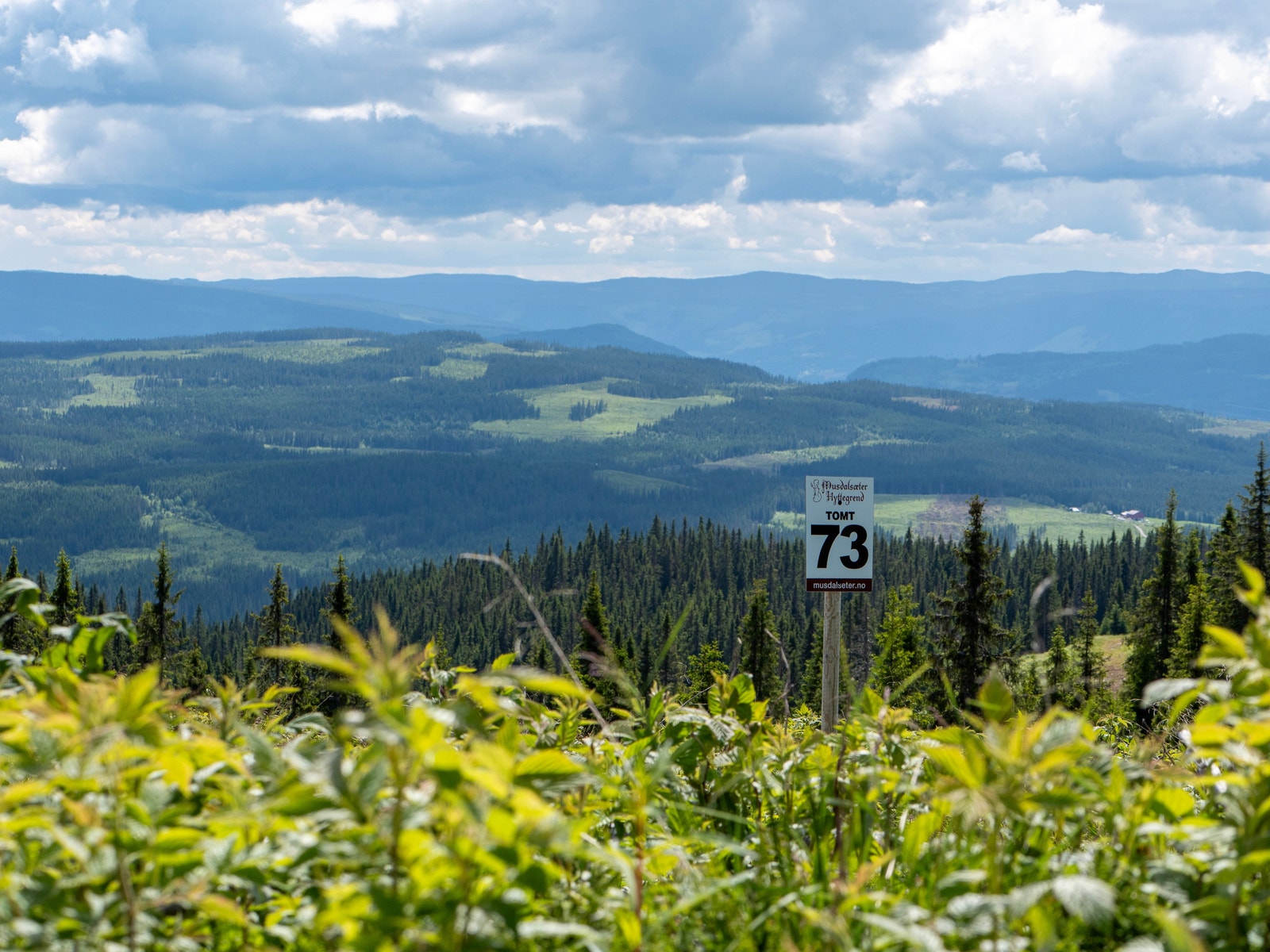 Tomt 73 - Fantastisk utsikt i sør og øst, ingen tomter som forstyrrer utsiktsbildet i sør. Galleribilde