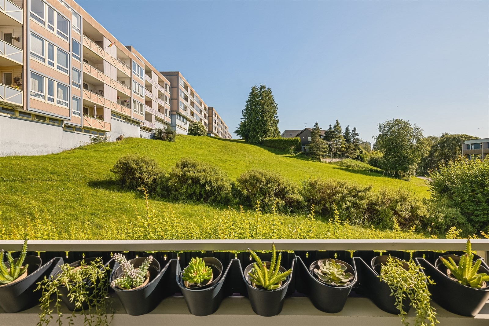 Den interne plasseringen er veldig fin - her har man frodige, fredelige grøntareal rett utenfor stuevindu og balkong. Galleribilde